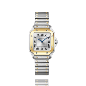 Cartier Santos WSSA0030